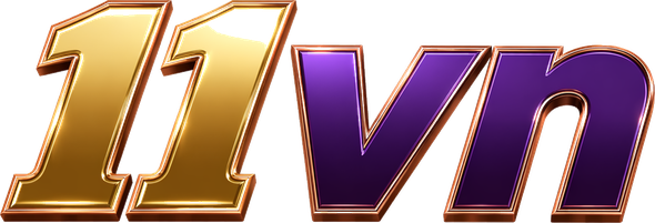 11vn